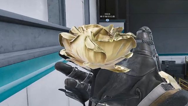 必须要魔王护吗？女王护不行吗？