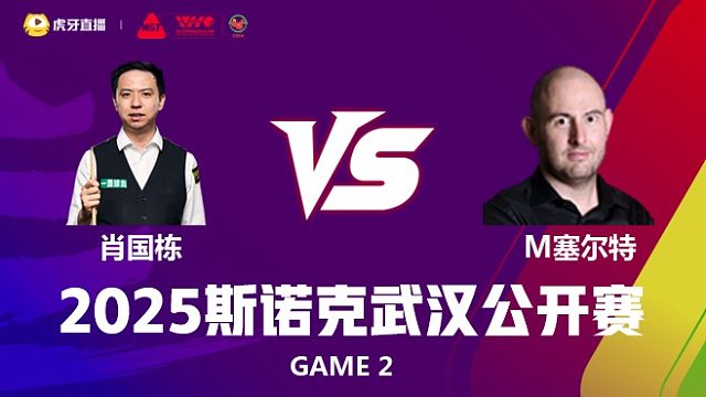 肖国栋VS马修·塞尔特 2025斯诺克武汉公开赛 王小鹏 下