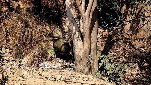 冠军.乔0907为热爱记录美好生活