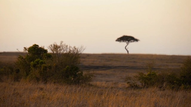 冠军.乔0907为热爱记录美好生活