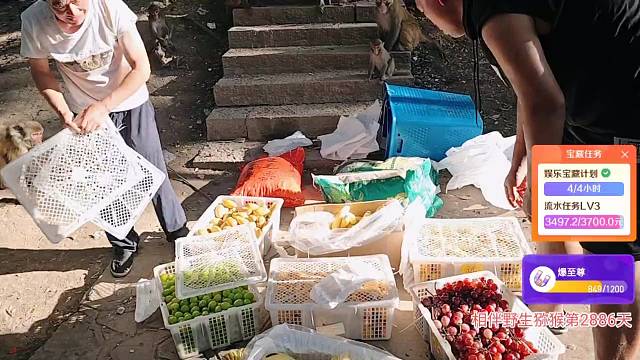 太阳哥给大部队的爱心饭饭