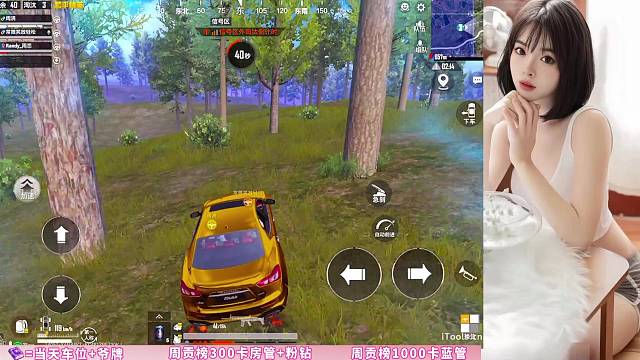 主播稳如老狗～