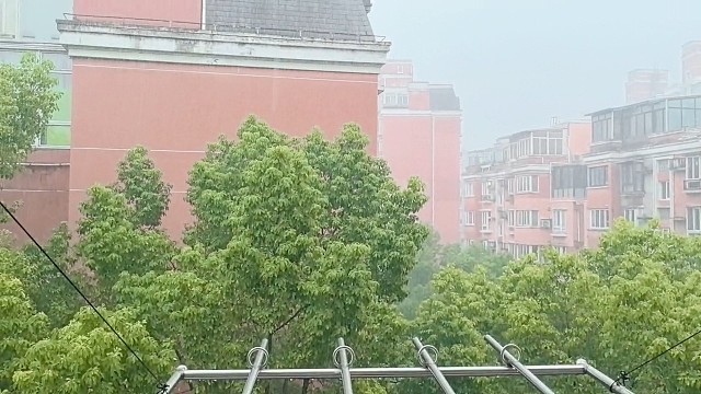 午后的暴雨，冲洗着尘埃