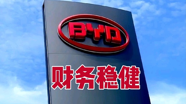 比亚迪上半年营收和净利润，同比增长超越了国际大厂，同时财务很健康。