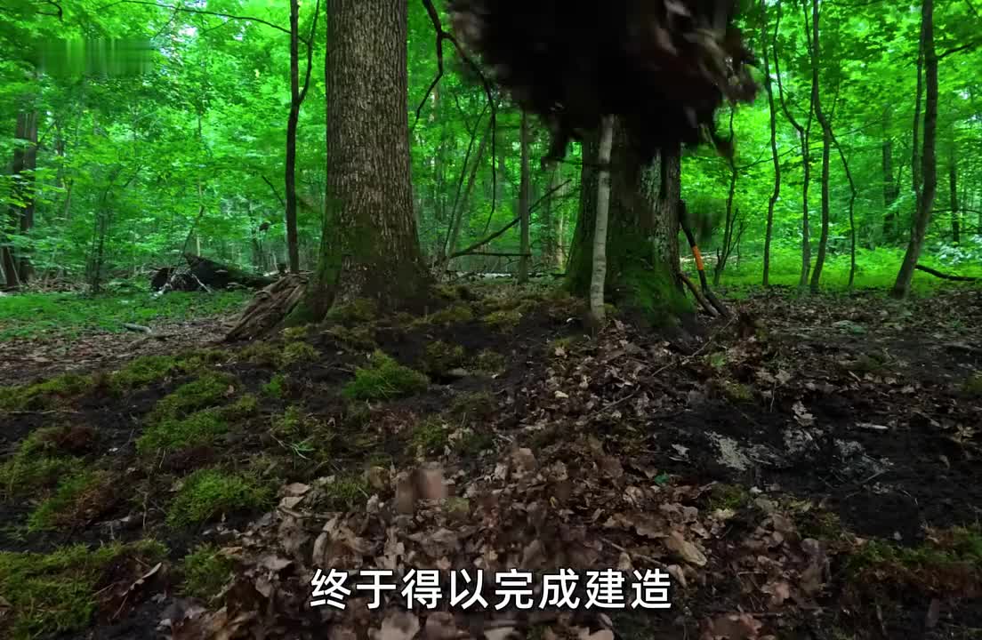 它被打造在两颗参天橡树下方，不仅为内部铺设了纯实木地板，还利用原木和桦树皮封顶(3)