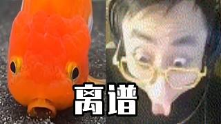 最 離 譜 的 LPL 變 身！