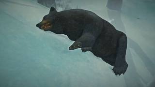 楚河成為荒野獵人，執(zhí)火槍殺熊屠狼
