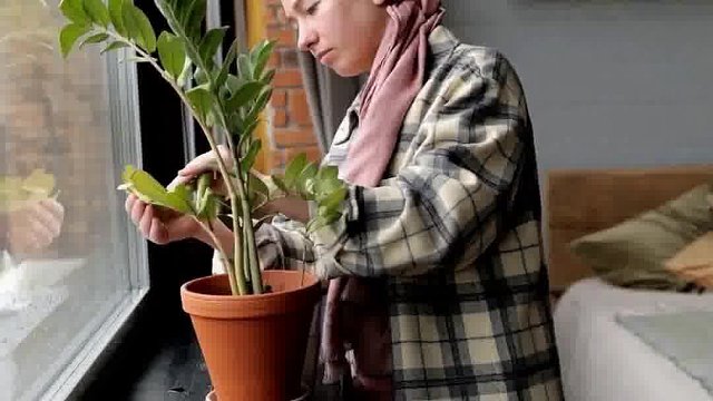 别人可以送给你一双超级好穿的鞋子，但路必须自己走，生命中的一切我们都要自己承受。