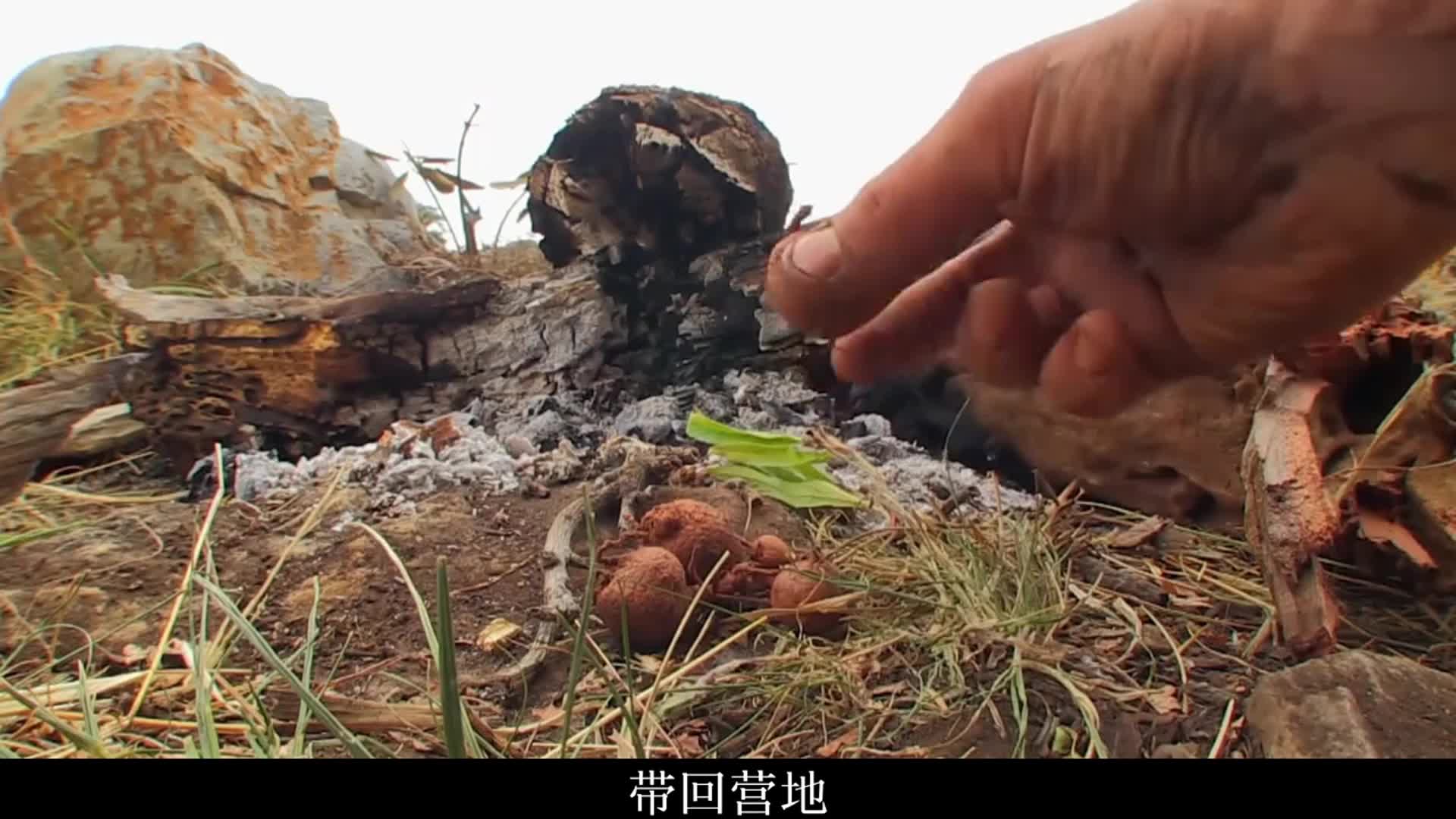 德爷卢旺达非洲草原荒野求生，吃着荒野烤地瓜和碳烤鲶鱼、逛着私人动物园！(2)