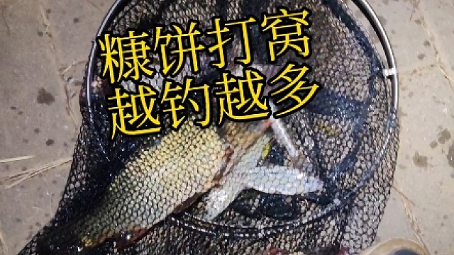 下班甩两杆第19集：秋天了，这个位置出斤鲫