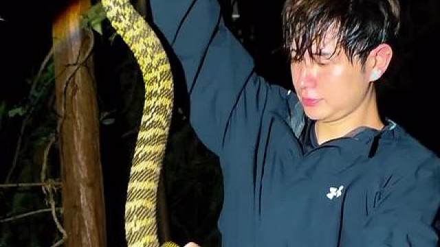 童哥与蛇共舞，克服恐惧，挑战自我