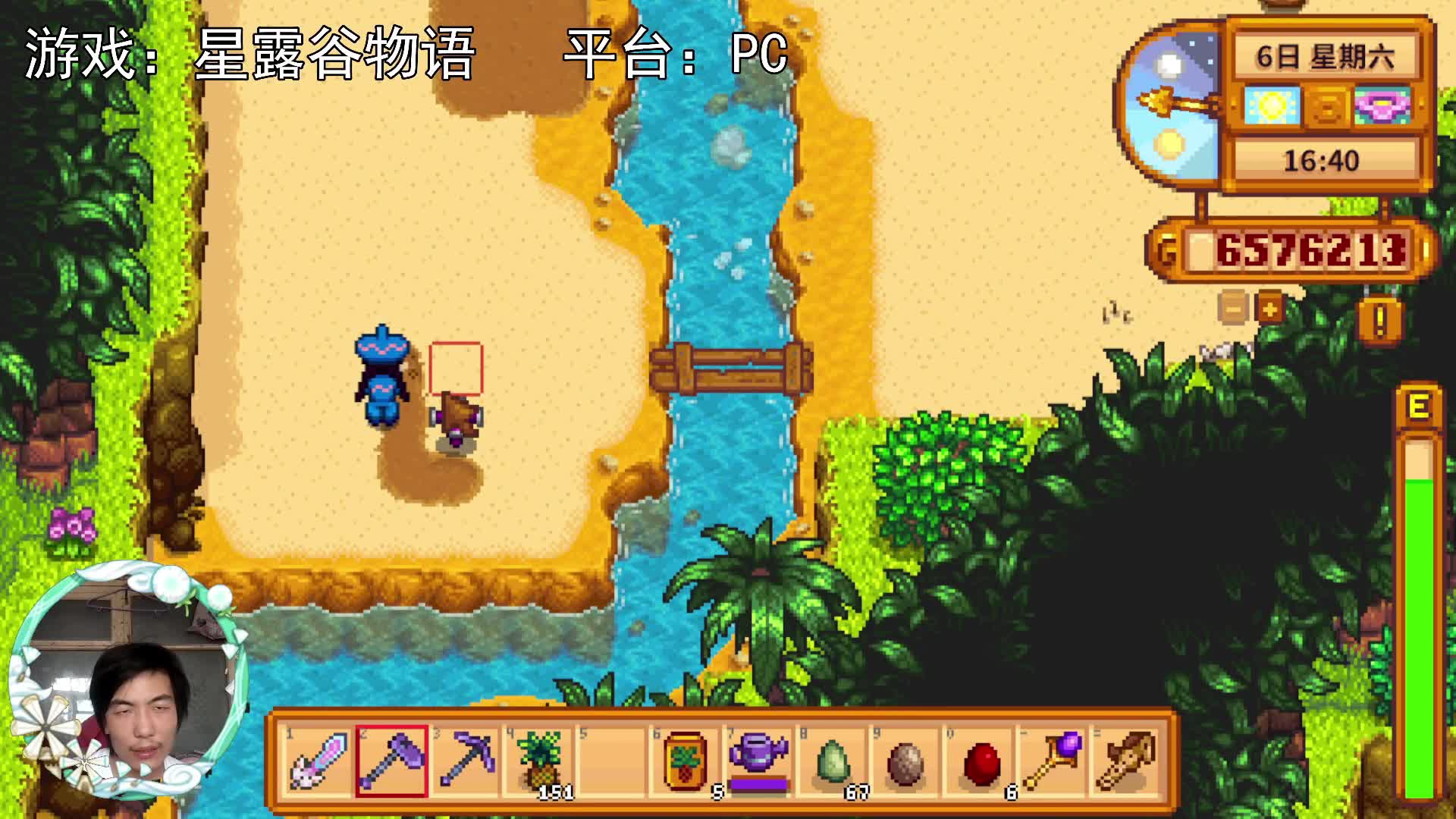 【星露谷物语】五个菠萝！