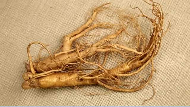 术、化后补营养选对了，指数up up！