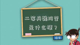 二等兵魏玲瑩是什么梗？【懂哥科普熱?！? style=