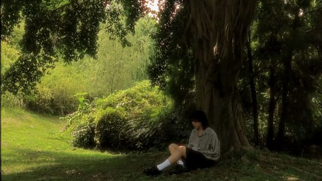 “当你独自享受午后的光影时，是否还记得我们曾一起在树荫下” | 2pm (official vide