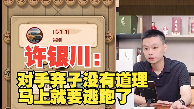 【无广告】许银川：对手弃子属于乱下，马上要认输了