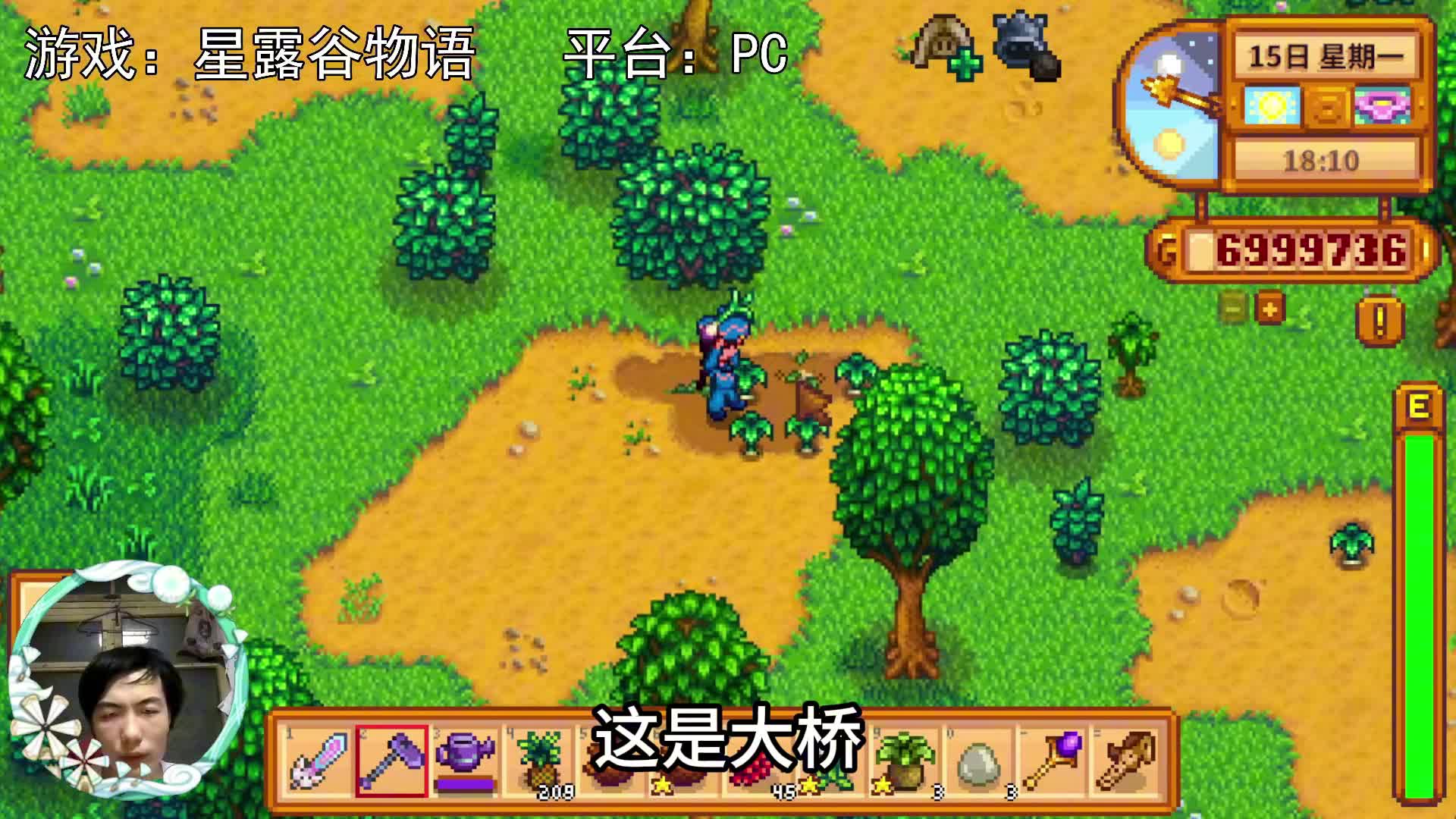 【星露谷物语】如果联机，举办一场星露谷居民赛也可也不错啊！