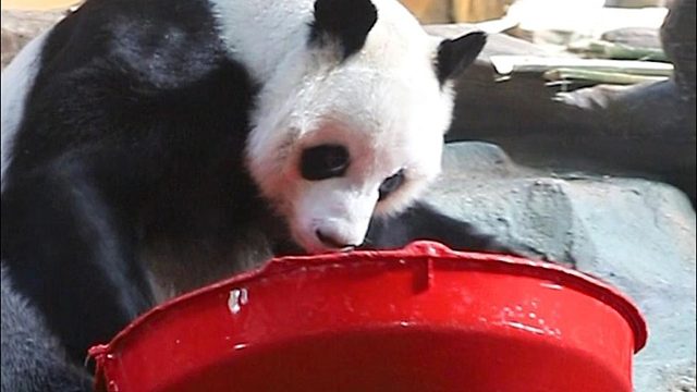 给大家小露一手水上玩转红陀螺