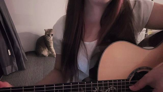 听我弹琴唱歌的都很有品味