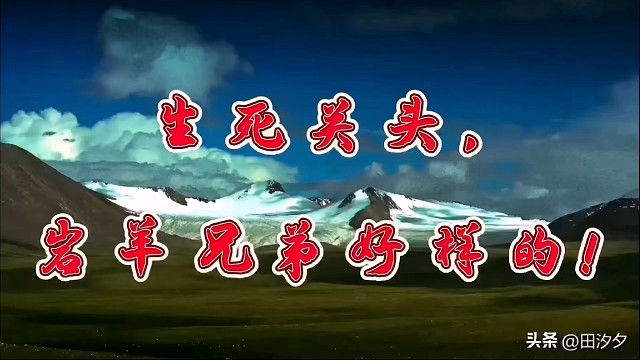 《生死瞬间》还得是岩羊兄弟，好样的！