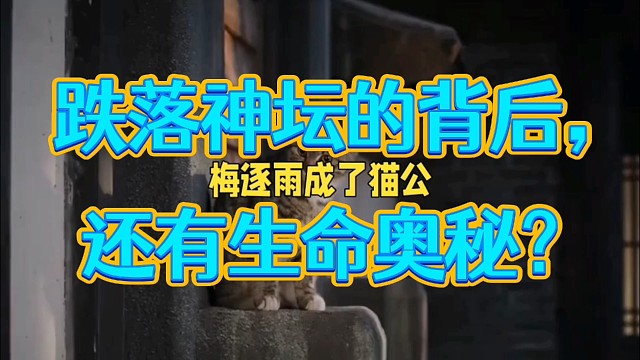 校园惊现“前朝才子猫”！梅主语的神秘转变，竟和人间烟火有关？