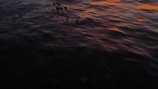 我们还会是我们吗