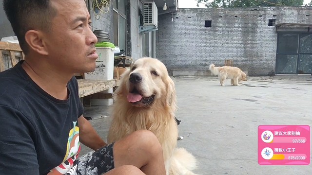 哈瑞：我不赤石 可以亲亲