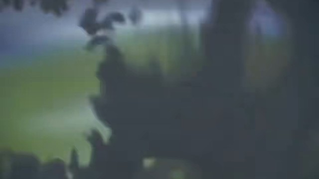 5个都是世界波，这6个也不错的