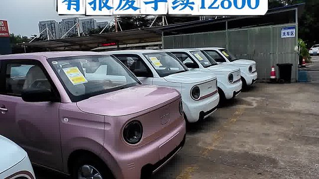 吉利熊猫耐力熊