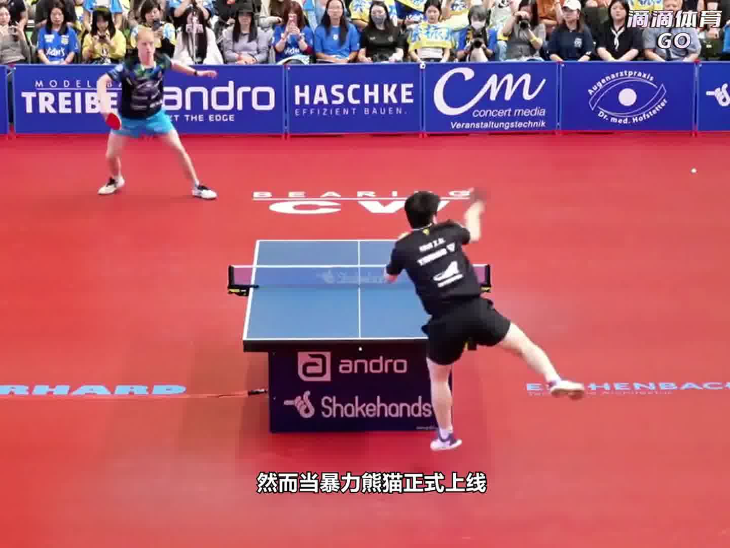 暴力熊猫樊振东又回来了！