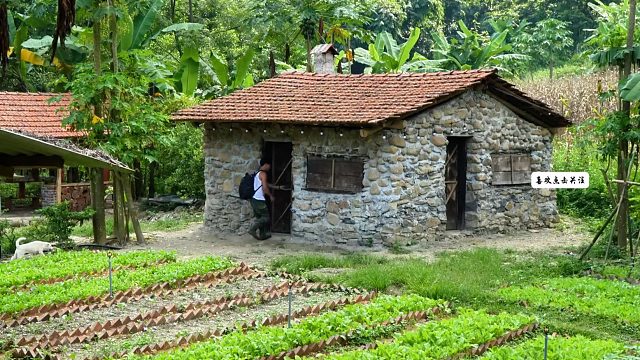 一个人的荒无人烟生活，体验在溪流中沐浴、钓鱼、烹饪，回归自然。