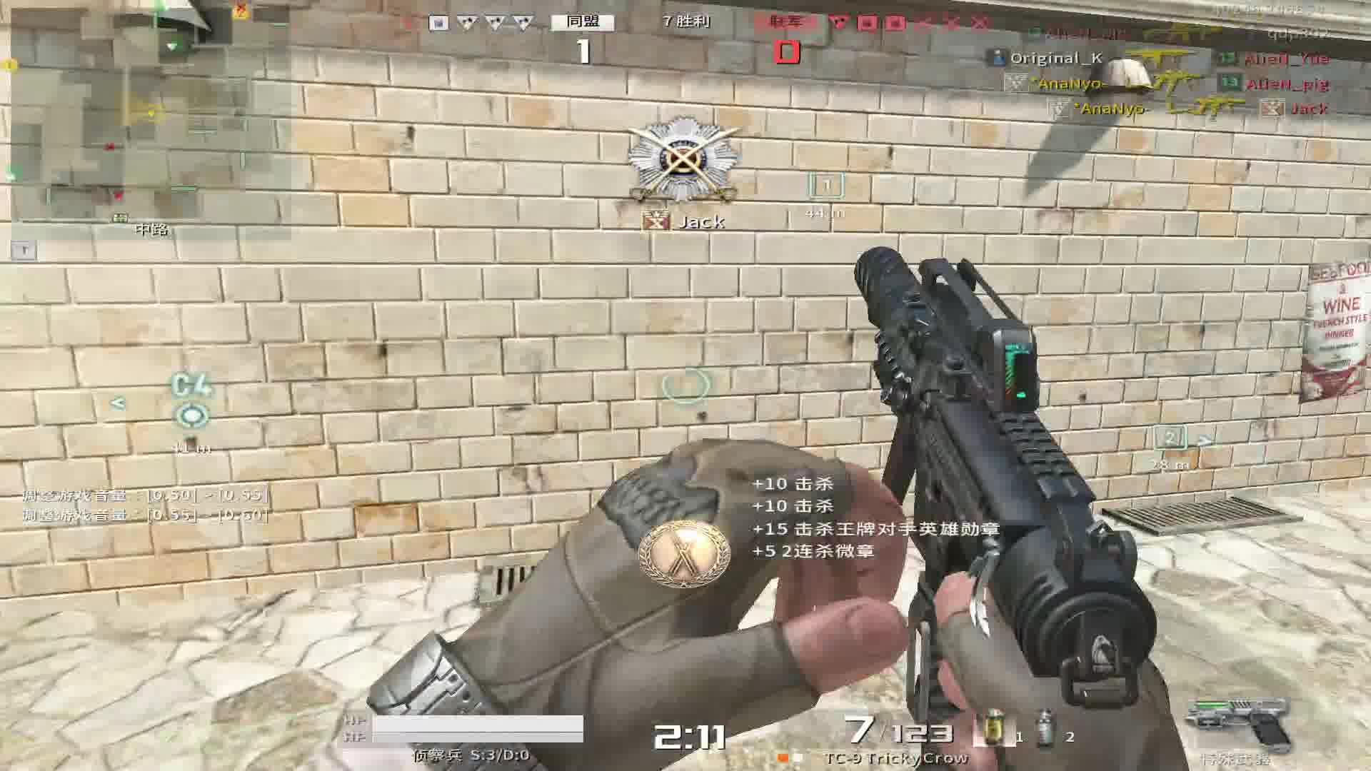 战地之王国际服：*AnaNyo-