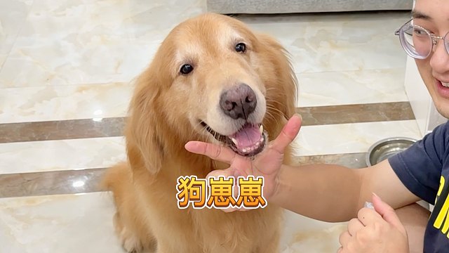 可可爱爱没有脑袋～