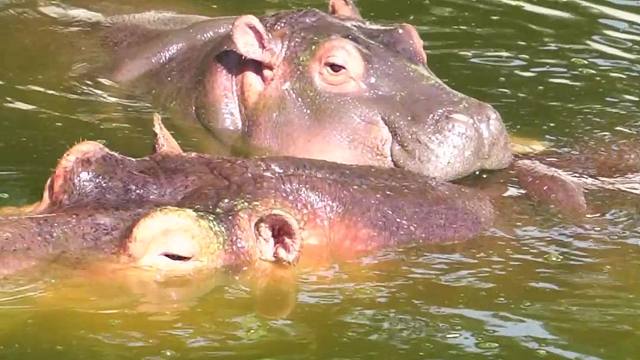 靠在妈妈身上，睡的最香啦~