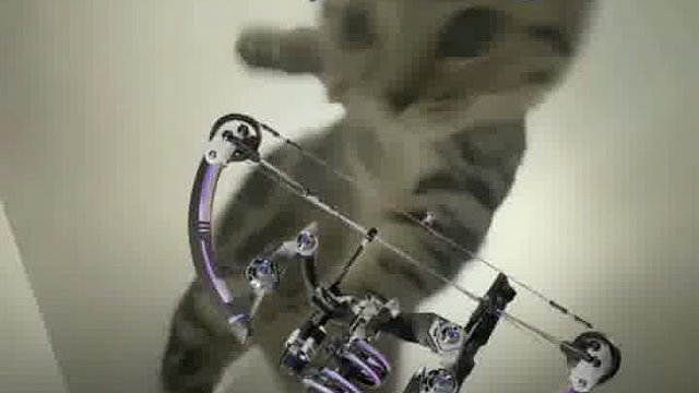 谁还没学会天才小猫三角洲P图？超简单，看完直接会