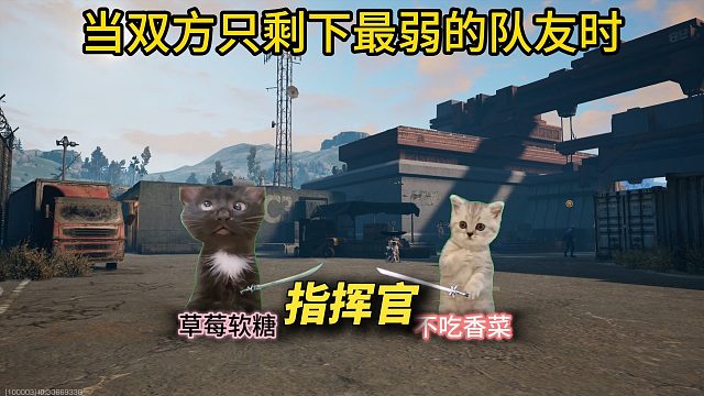 特训时双方都剩下最弱队友时！