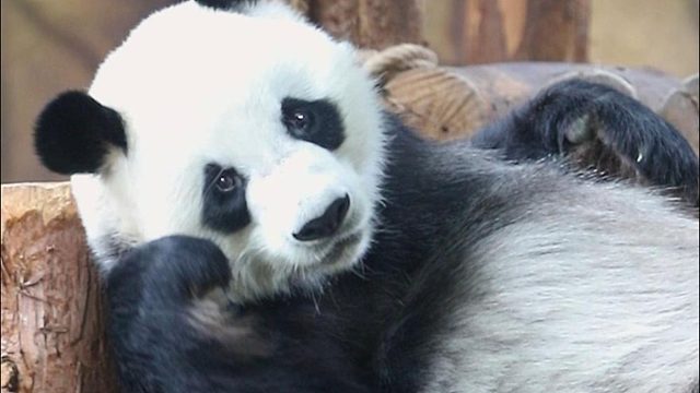 吾日三”醒“吾身...醒不了一点