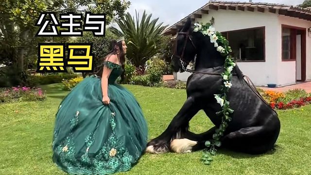 那些有爱的动物视频！