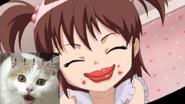 当巴啦啦遇到不同营销号