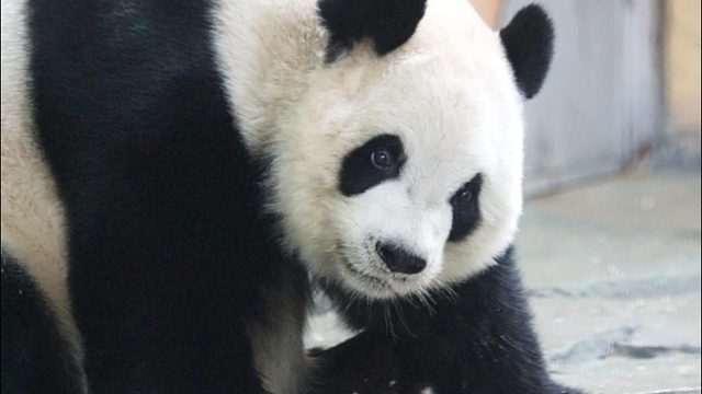 好嫌弃~但又有点上头