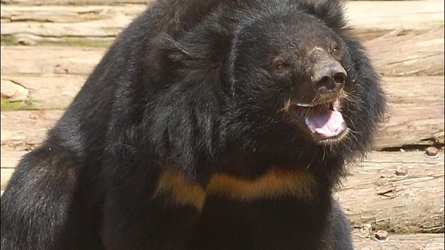 笑容营业满分！