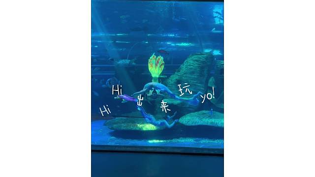 Hi Hi 出来玩呦！