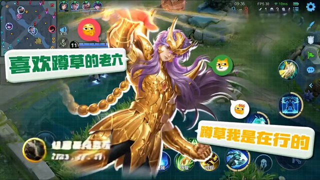 喜欢蹲草的老六。