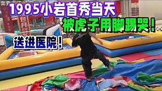 1995小巖首秀當天，被虎子用腳踢哭！送進醫(yī)院！