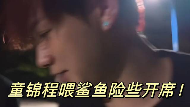 童锦程喂鲨鱼险些开席！