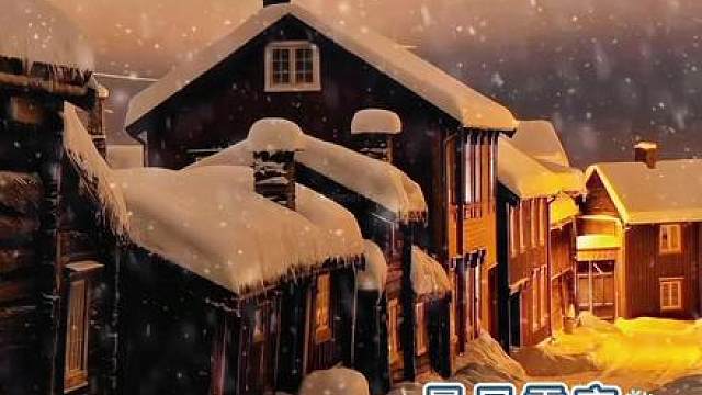 暴风雪夜收留迷路的你