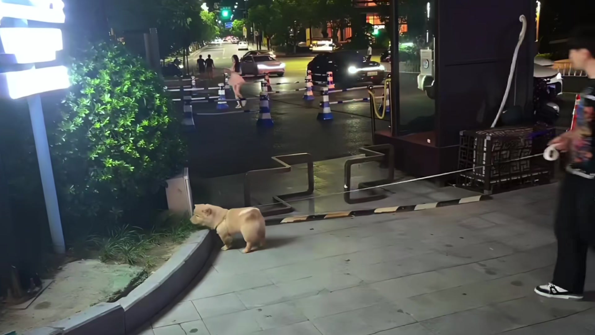 出门还得是带个好