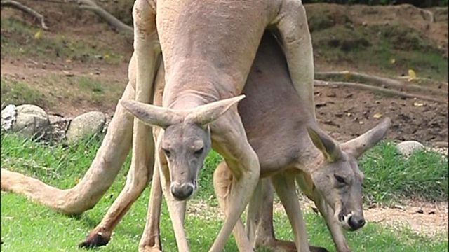 ：兄弟，我们是不是有点过于暧昧了