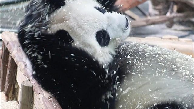 语大王的快乐就是这么简单~