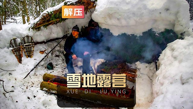 如果你在睡前刷到这个视频，保证你看完就能美美的进入梦乡！